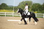 SBM_007880