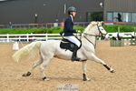 Cls 25 Pony Foxhunter & 1.10m Open portfolio