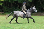 3E7A5998