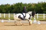 SBM_006976