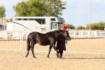 SBM_18316