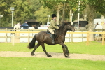 SBM_69356
