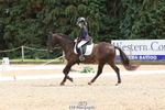 172-Sophie.Luscombe-Wynwillow.Corniche portfolio