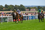 300826-Race 5-Harb-1093