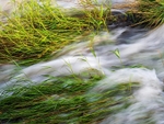 The Weir