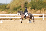 SBM_017798