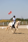 SBM_004956