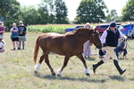 WJ6_4846