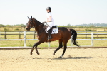 SBM_000372