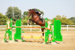 SBM_002204