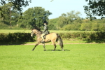 SBM_36498