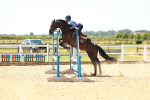 SBM_006094