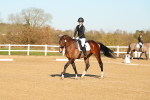 SBM_004656