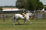 SBM_06733
