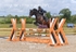 BPP_1147