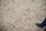 SBM_000142