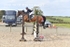 BPP_0759