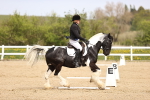 SBM_007503