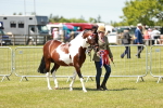 SBM_05483