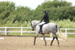 SBM_001458