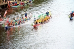 DRAGON BOAT RACE 10 July 2016 - 344 of 549
