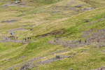 Borrowdale-900