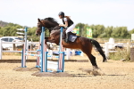 SBM_000295