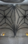 Nave, ribbed vault