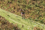 Loweswater Show-246