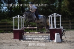 BPP_8306