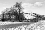 White Nancy from Oakenbank Lane (2)