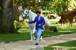 163-UVERA_Z-Harry_Meade-WEDTrotUp+DR portfolio
