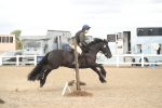 SBM_16641