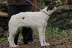 Athos in November 2019-2