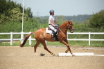 SBM_008912