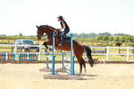 SBM_005952
