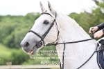 BPP_9935