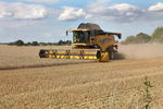 Atumn harvest