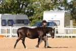 SBM_17865