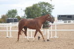 SBM_07859