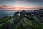 Machrihanish Bay 7316
