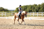 SBM_007740