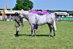 SBM_18227