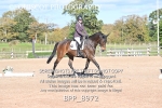 BPP_8972
