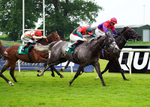 160626-Race 4-Mr King-4