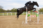 SBM_002741