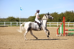 SBM_002713