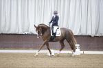 SBM_006524