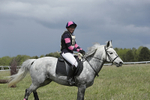 BVHT 140517  NXC -279