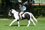 SBM_46990